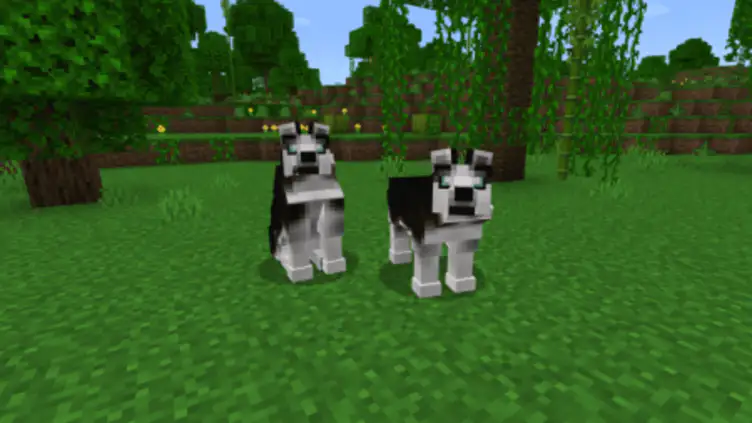 Addon: Dogs Plus - modsgamer.com