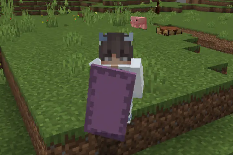 Addon: Raiyon's More Shields - modsgamer.com