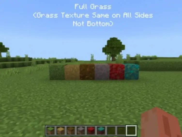 Textures: FancyGrass+ - modsgamer.com