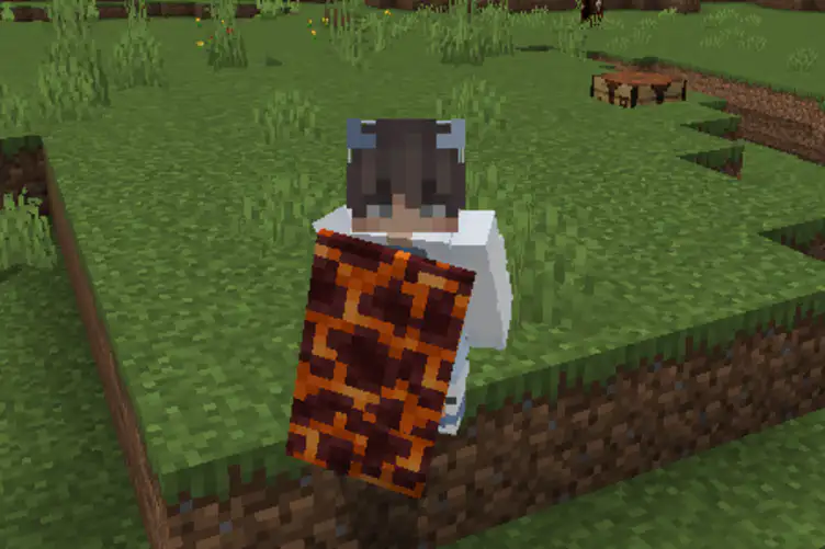 Addon: Raiyon's More Shields - modsgamer.com