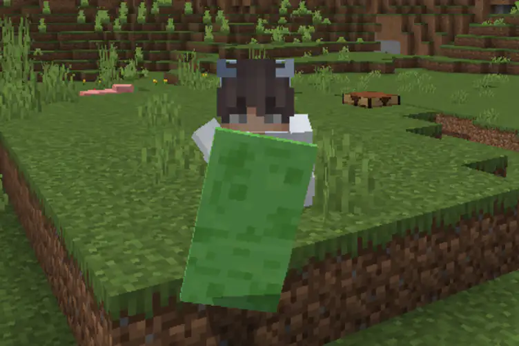 Addon: Raiyon's More Shields - modsgamer.com