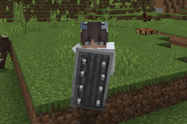 Addon: Raiyon's More Shields - modsgamer.com