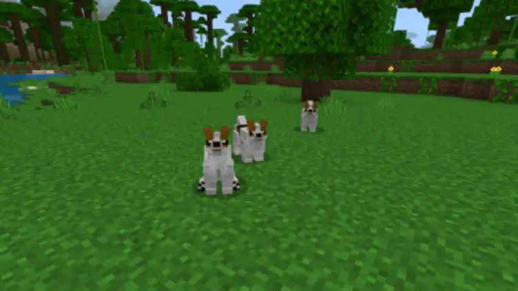 Addon: Dogs Plus - modsgamer.com