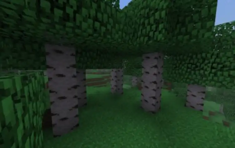 Shader: Yummy Sheep - modsgamer.com