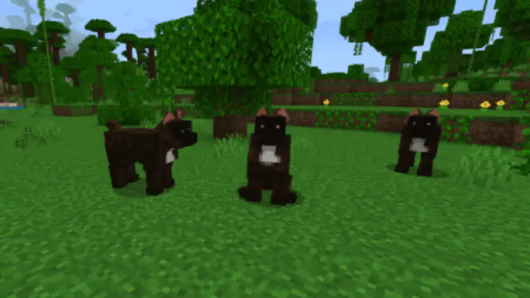 Addon: Dogs Plus - modsgamer.com