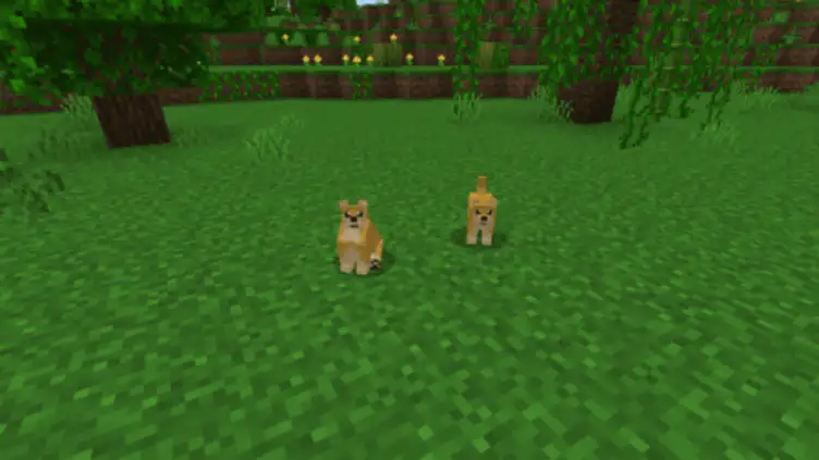 Addon: Dogs Plus - modsgamer.com