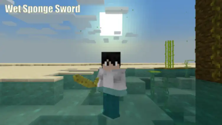 Addon: Swords and More Swords - modsgamer.com