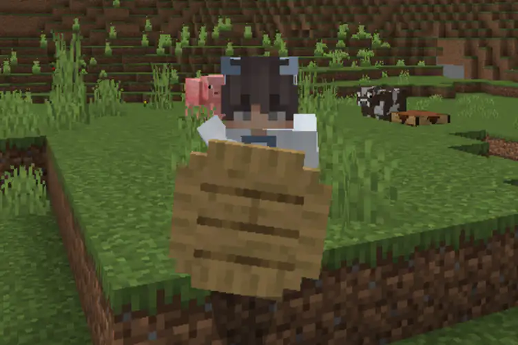 Addon: Raiyon's More Shields - modsgamer.com