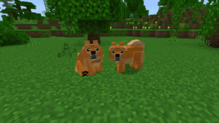 Addon: Dogs Plus - modsgamer.com