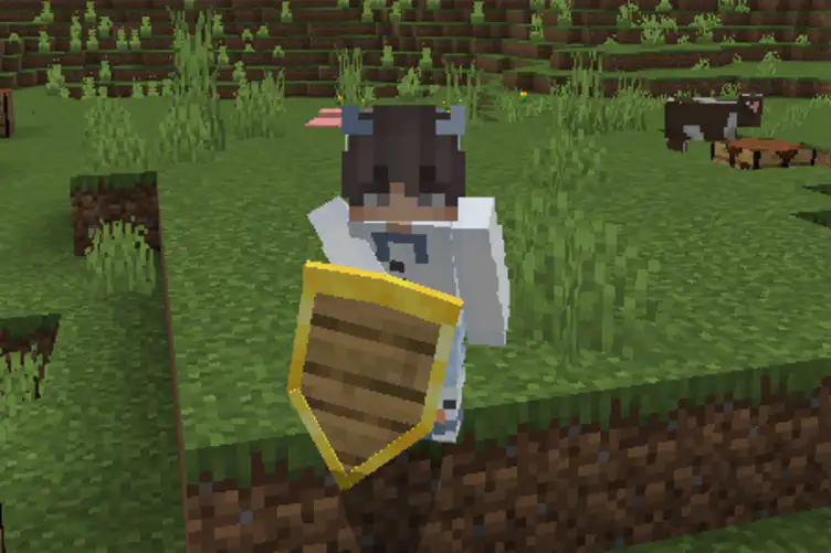 Addon: Raiyon's More Shields - modsgamer.com