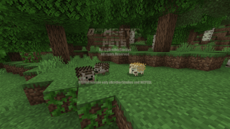 Domestic Pets Mod[13 domestic animals] - Mods for Minecraft