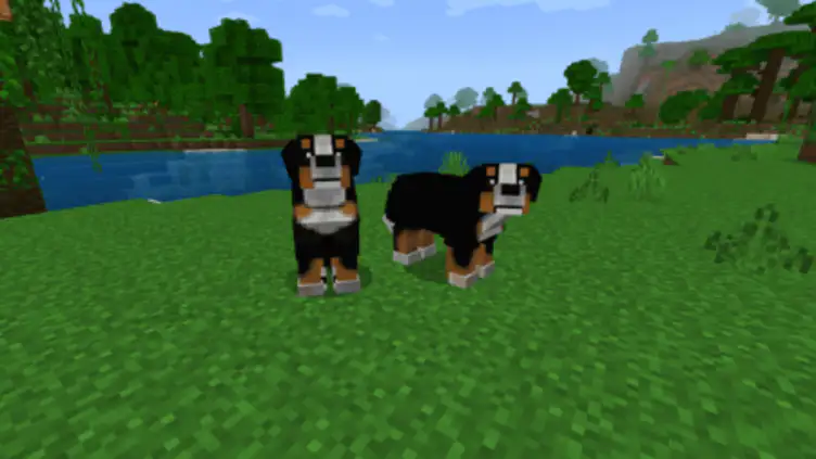 Addon: Dogs Plus - modsgamer.com