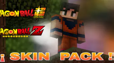 Dragon Ball Skin Pack(81 Skins) | modsgamer.com