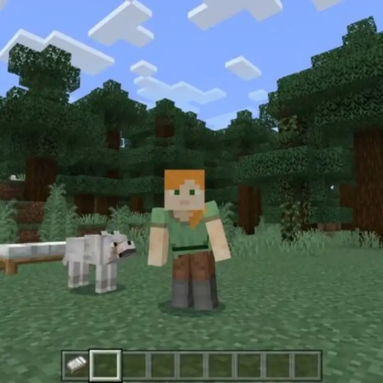 Minecraft Player Animations Action Optimization Original V0.3 Pack