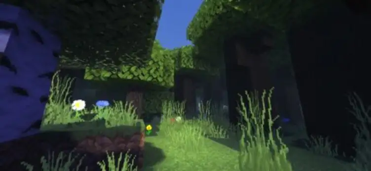 Shaders: Enlight - modsgamer.com