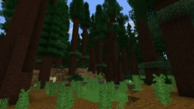 Addon: Expansive Biomes - modsgamer.com