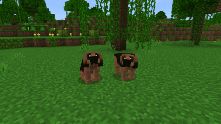 Dogs Plus Mod[23 dog] - Mods for Minecraft