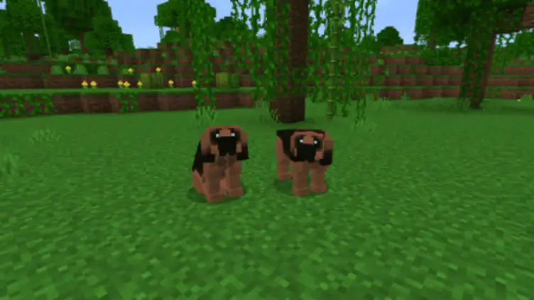 Addon: Dogs Plus - modsgamer.com