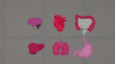 Six Human Organ Mods | modsgamer.com