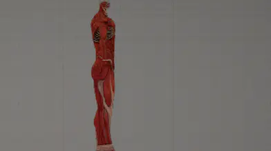 Attack on Titan - Colossus Titan Mod | modsgamer.com