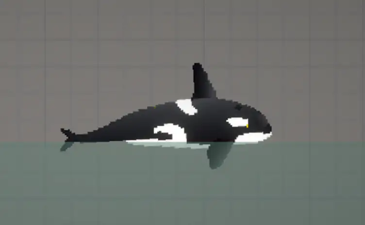 Killer whale - modsgamer.com
