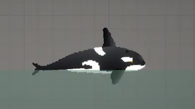 Killer whale mod | modsgamer.com