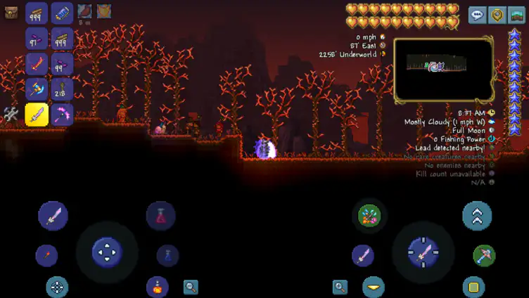 What this Terraria SECRET BOSS SHOULD HAVE BEEN 