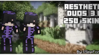 Aesthetic Duos 3.0 Skin pack | modsgamer.com