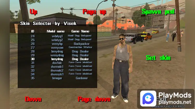 Skin Selector by Visek - modsgamer.com