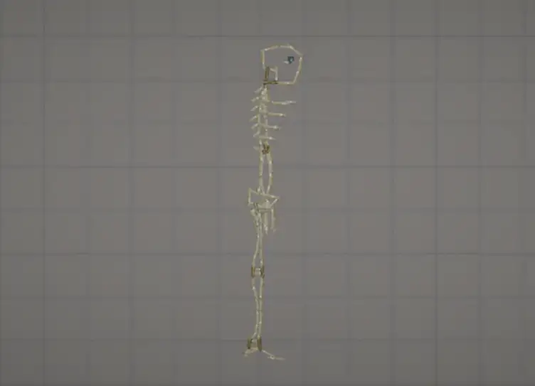 human skeleton - modsgamer.com