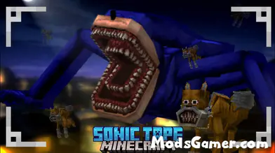Shin Sonic Tapes Addon | modsgamer.com